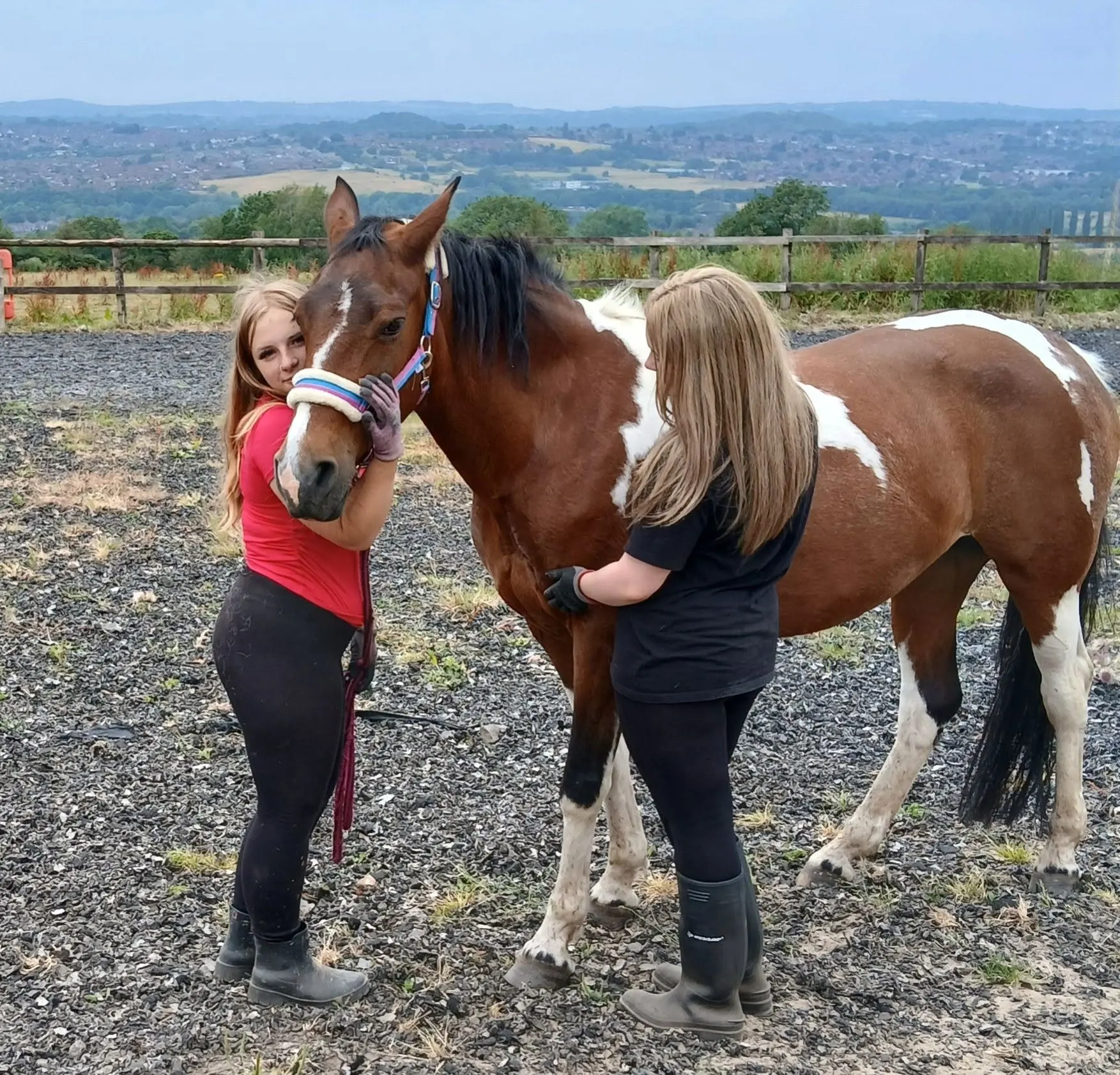Two helpers grooming a piebald horse with views across the valley