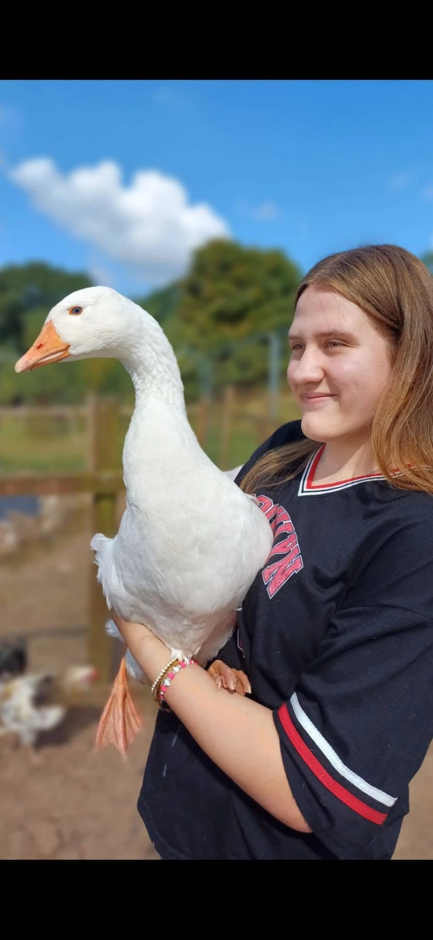 Our geese
