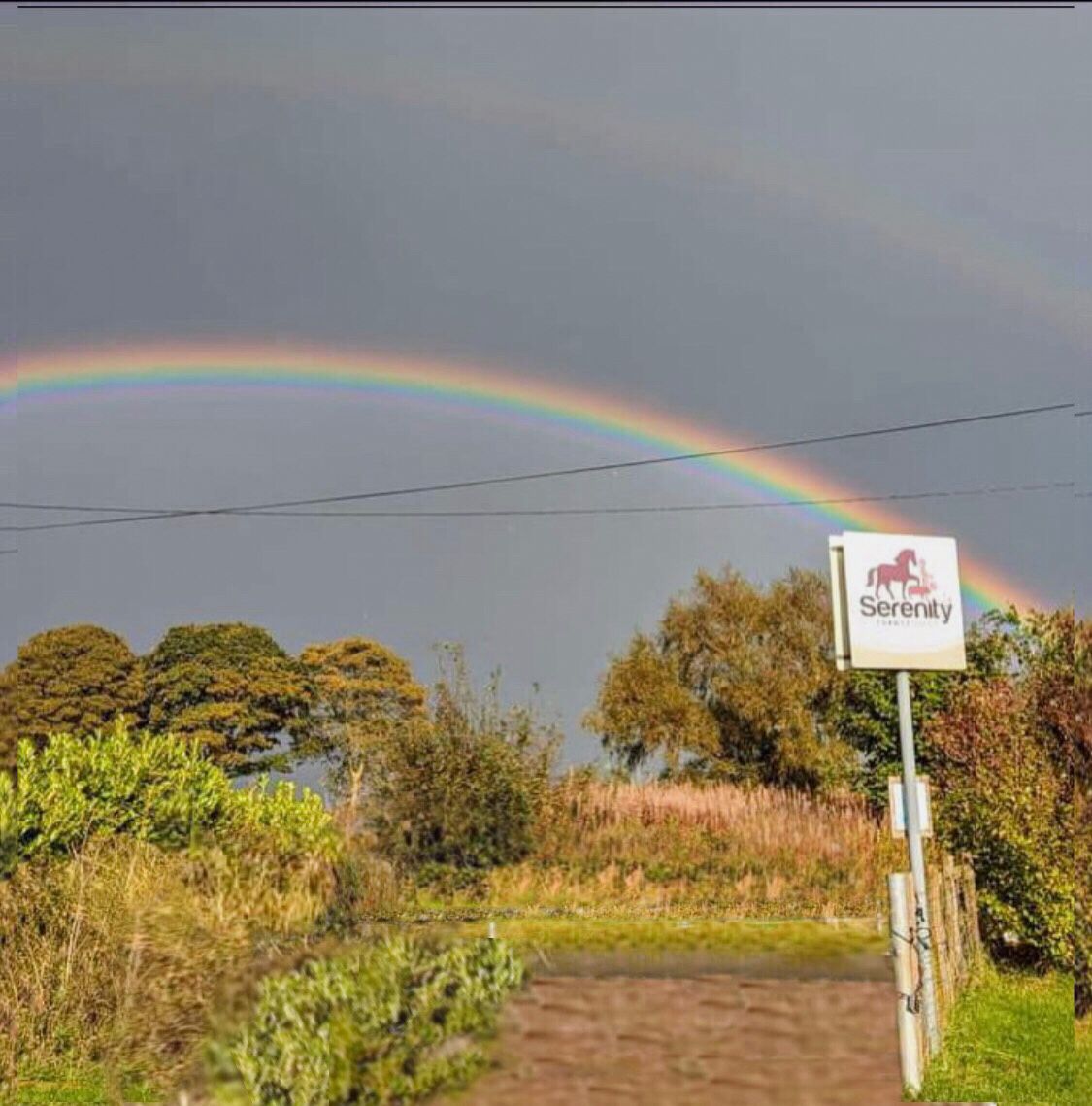 WhatsApp Image 2025-09-14 at 22.39.50_09154f8e