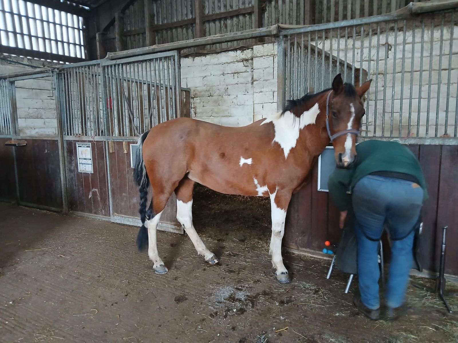 WhatsApp Image 2025-10-21 at 17.28.57_eeb2142b